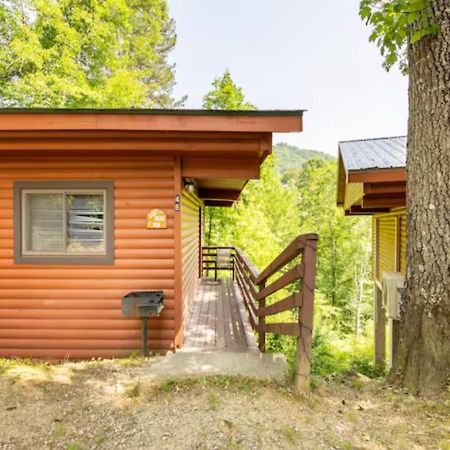 Lazy Bear Cabin Near Nantahala Outdoor Center And Bryson City Bagian luar foto