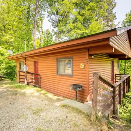 Lazy Bear Cabin Near Nantahala Outdoor Center And Bryson City Bagian luar foto