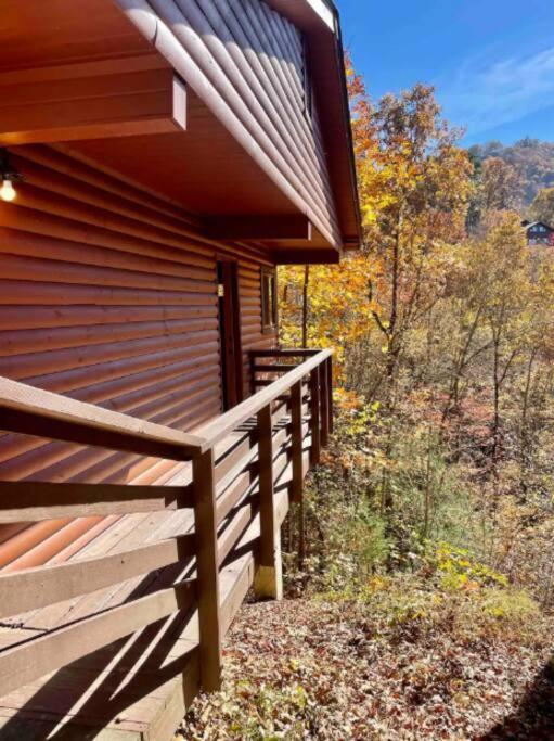 Lazy Bear Cabin Near Nantahala Outdoor Center And Bryson City Bagian luar foto