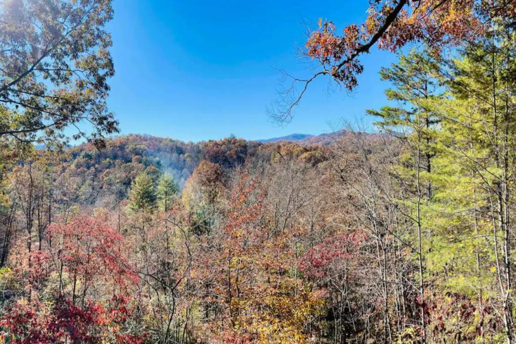 Lazy Bear Cabin Near Nantahala Outdoor Center And Bryson City Bagian luar foto