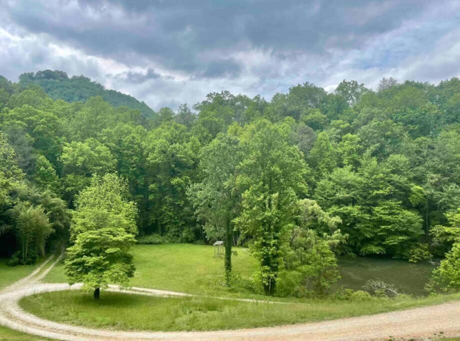 Lazy Bear Cabin Near Nantahala Outdoor Center And Bryson City Bagian luar foto