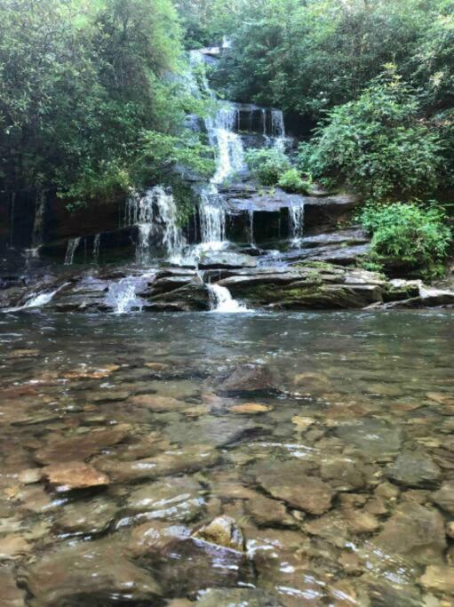 Lazy Bear Cabin Near Nantahala Outdoor Center And Bryson City Bagian luar foto