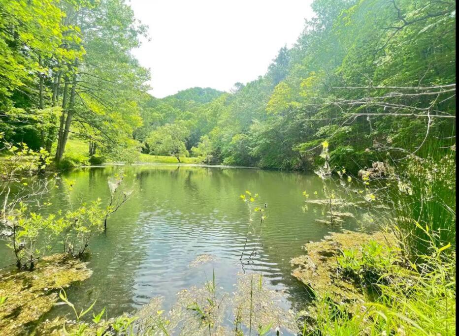 Lazy Bear Cabin Near Nantahala Outdoor Center And Bryson City Bagian luar foto