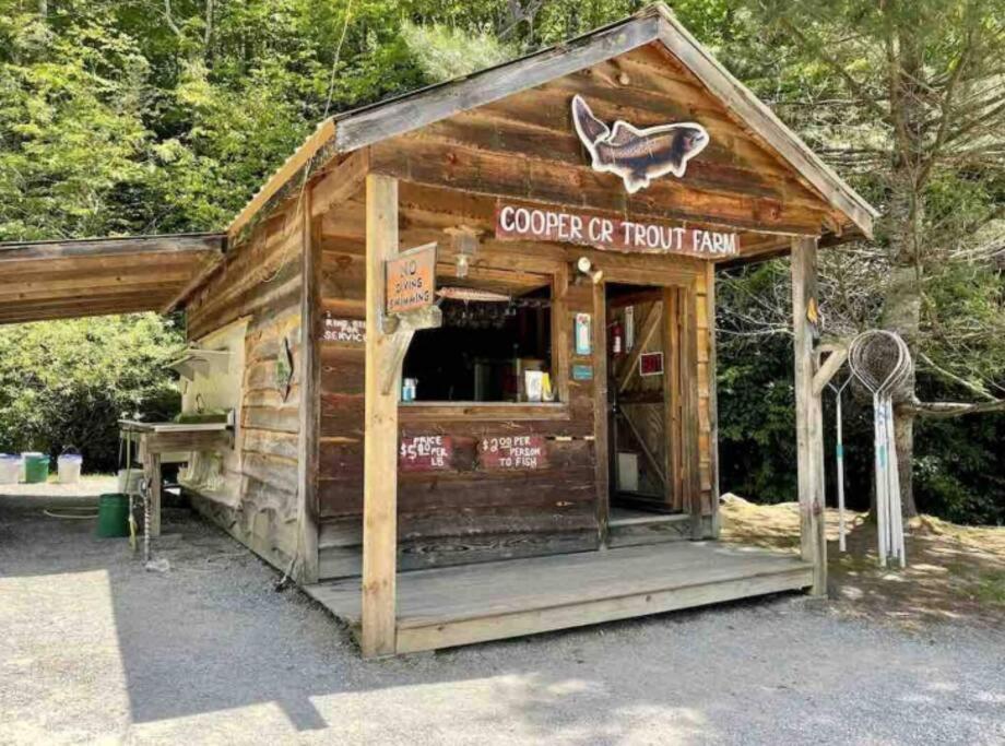 Lazy Bear Cabin Near Nantahala Outdoor Center And Bryson City Bagian luar foto