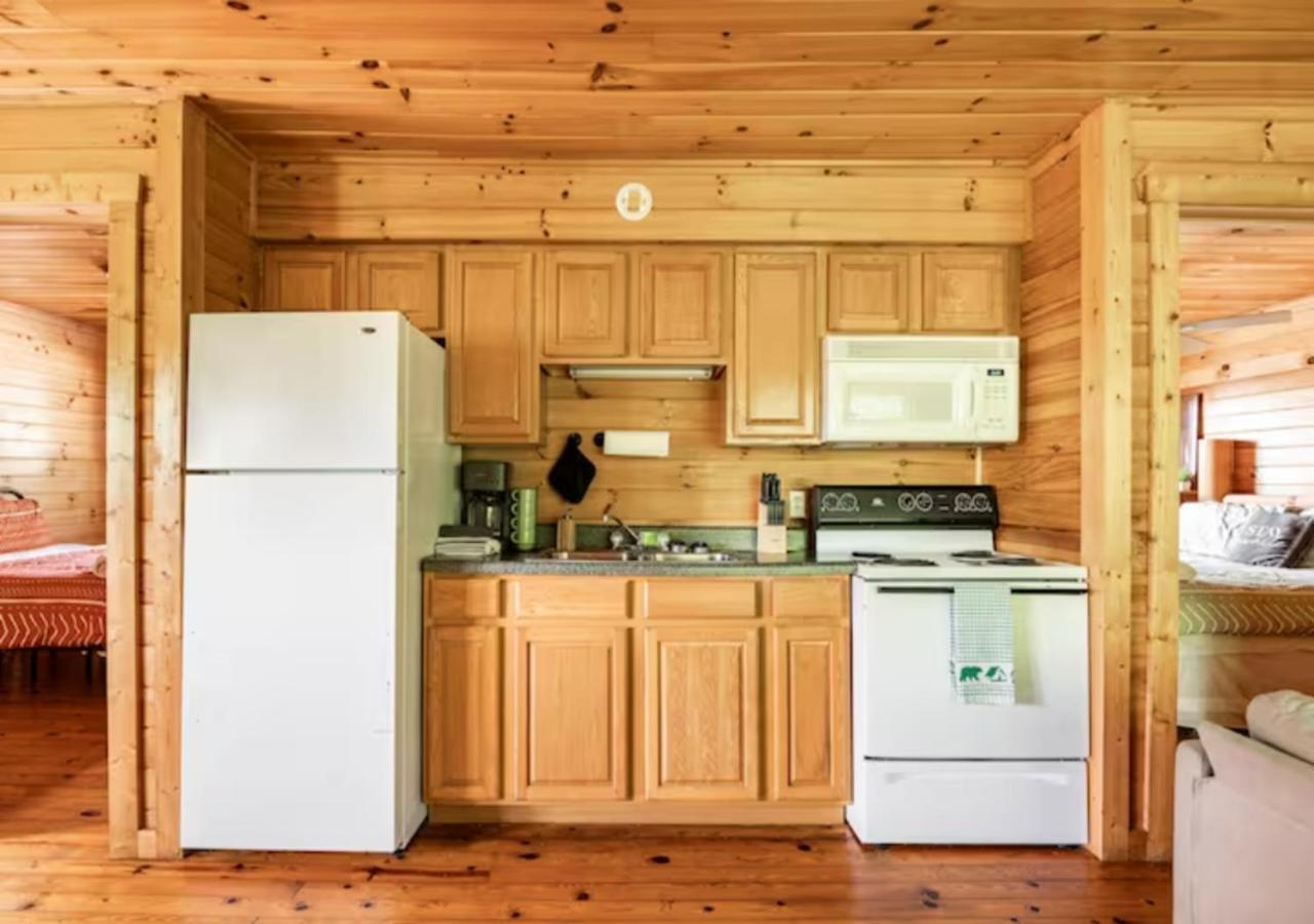 Lazy Bear Cabin Near Nantahala Outdoor Center And Bryson City Bagian luar foto